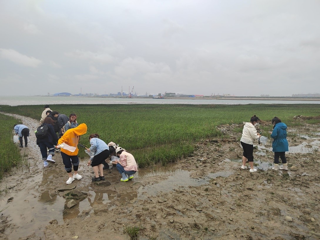 小孩们在沙滩上 描述已自动生成